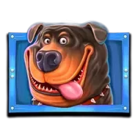 The DogHouse Megaways